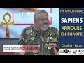 NKO - Sapiens Africains en Europe -  Focus