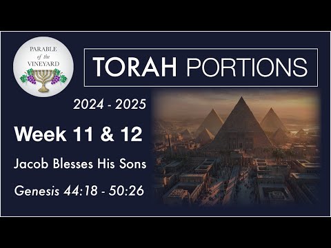 Torah Portion Week 11 & 12 - Genesis 41:1 - 50:26  (Heading to Egypt!)  2024 - 2025