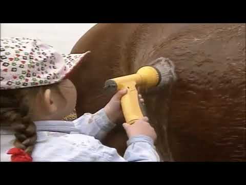 jamies thinking time series 1 episode 74 emily washing the pony