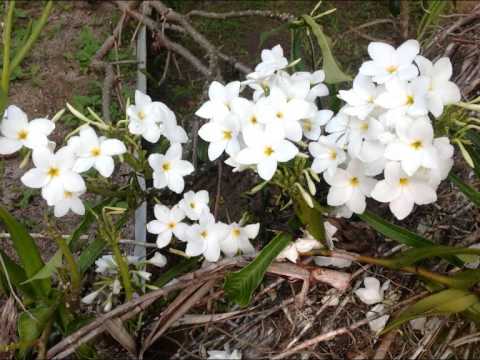 Appoches un peu ton coeur du transistor - J'ai tant d'amour pour Toi - Qui saura