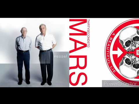 Twenty One Pilots/30 Seconds to Mars - Car Radio/The Kill (Bury Me) (Mashup)