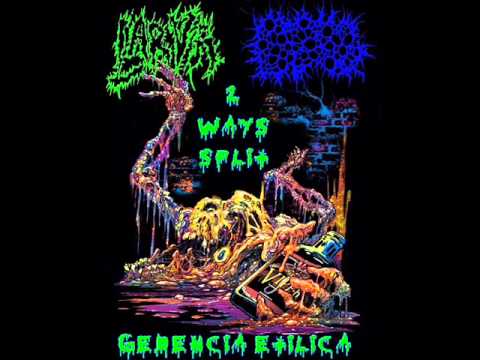 Gedencia Etílica 2 Ways Split (Larva & BxPxGx FULL SPLIT 2015)