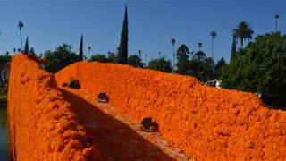 Day of the Dead 2018 Hollywood Forever Cemetary
