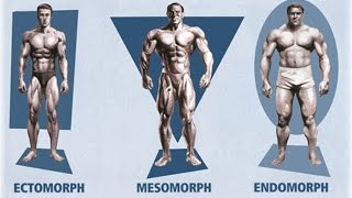 Ectomorph? Endomorph? Mesomorph? How To Train & Eat For YOUR Body Type