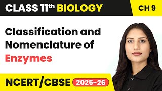 Classification and Nomenclature of Enzymes - Biomolecules | Class 11 Biology Chapter 9 |CBSE 2024-25