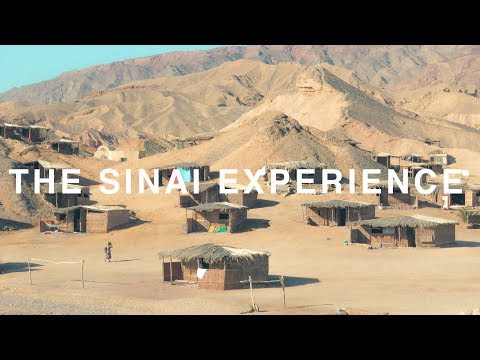 The Sinai Experience