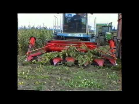 Loonw. Germonpré - Leke