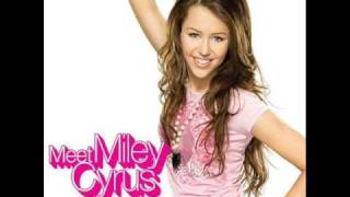 miley cyrus ft billy ray cyrus stand