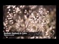 Synthetic Epiphany & CoMa - Heavenly Surrender ...