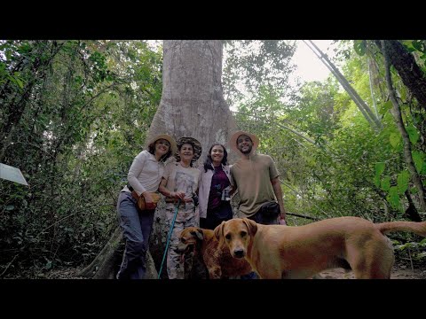 Especial Macana | ED3 | Manadulce