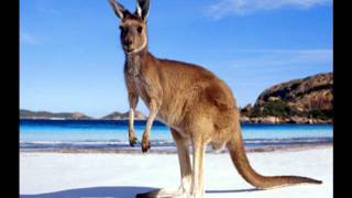 Anna aka Boris Brejcha - Down Under (Subfractal Remix)
