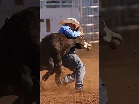 Flippin steers so swiftly they kick you in the hand #steerwrestling