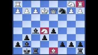 Best Attacking Chess Game in COLORADO Gambit
