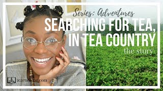 Searching For Tea, In Tea Country - The Story