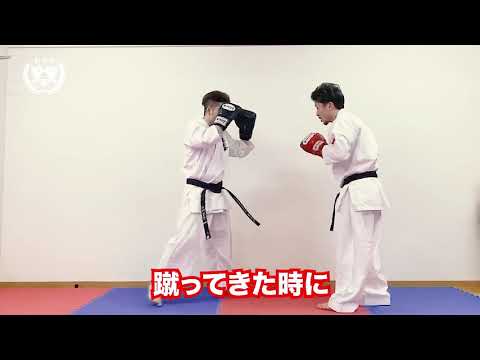ストッピング/真正会上村道場