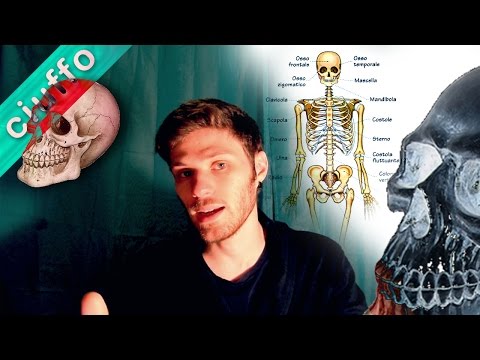 Dove si può fare unecografia del ginocchio a Zelenograd Gel omeopatici per giunti