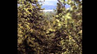 Paanajärvi muistojen kultaa