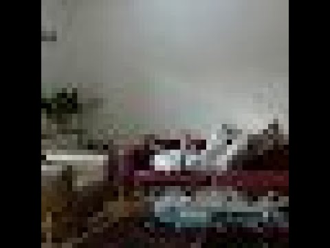 Kukon (Kukonozaur) - Diamond Fetish ft. Gibbs