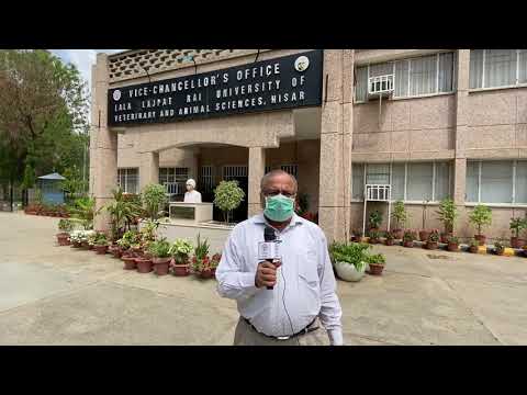 World Veterinary Day 2020 wishes by Dr Trilok Nanda, DSW cum EO, LUVAS, Hisar