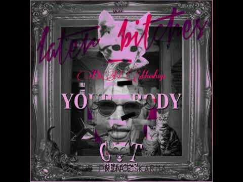 Your Body vs. Later Bitches (DxN Mashup) - Cat Dealers vs. The Prince Karma