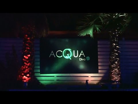 Show  Transformistas  Acqua Diva Rancagua