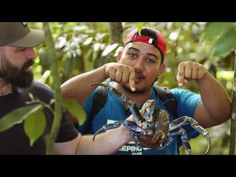 Tafaoga, Experience our Beautiful Samoa - Season 2 Trailer