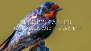 Aesop’s Fables the swallow and the Serpent
