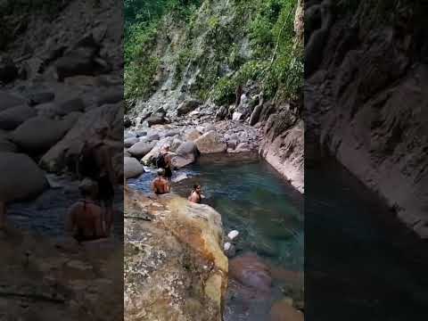 Amazon Rainforest Exploration 2026: Volunteer Life in Puerto Inca, Huánuco | Semillas Life NGO