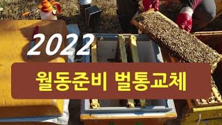 2022 월동준비 벌통교체하기, 목재벌통을 스치로폼벌통으로 교체