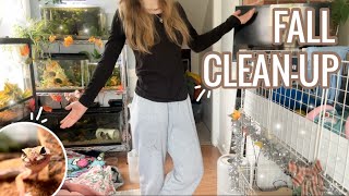 FALL PET ROOM CLEAN-UP