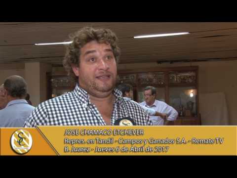 06-04-17 Nota Jose Chamaco Etchever - Campos y Ganados S.A.- Rte. TV - B. Juárez