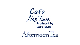 “ペロリ顔ネコ” vol.1