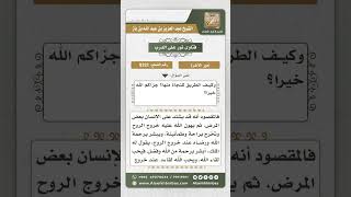 صورة 8321 -  حال الإنسان بعد الموت بحسب عمله -  نور على الدرب