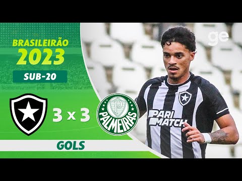 Gols e lances de Botafogo x Palmeiras