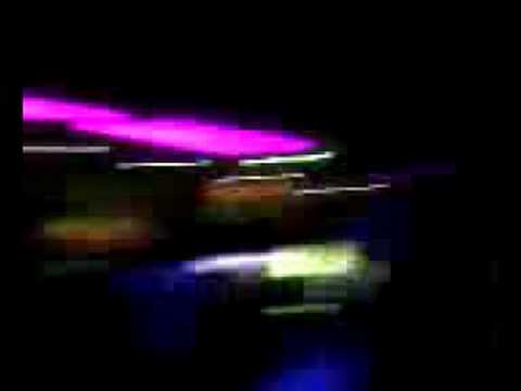 Magalluf (Mallorca) - serata in locale inglese free (01.08.2008)