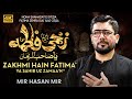 Ayam e Fatmiya Noha 2024 | Zakhmi Hain Fatima (sa) | Mir Hasan Mir New Noha 2024 | Bibi Fatima Noha