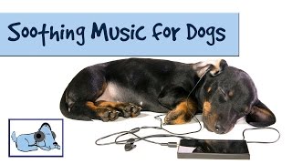 Soothing Sounds and Music for Dogs: Improve Separation Anxiety in Pets