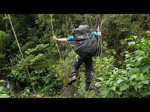 Bolivien. Bolivia. El Choro Trail. Pre-columbian trek from La Cumbre to Chairo.