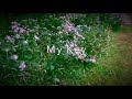 Atmosphere -“My Key” unofficial video