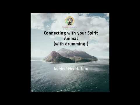 Connecting with Your Spirit Animal with ASMR Shamanic drumming