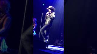 Can&#39;t set rules about love - 2017 - Adam Ant