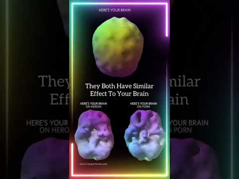 Your Brain On Pornography
