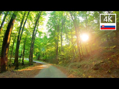 BRATISLAVA to Little Carpathians 🇸🇰 Slovakia Summer Drive with original Sound