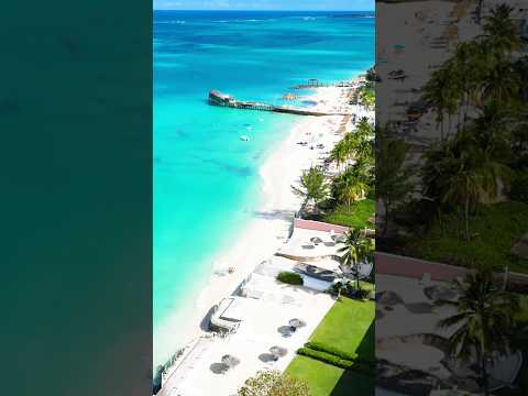 Cable Beach #shorts #bahamas #swimmingpigs #pigs #travel #love #beach #beachwalk #walkingtour