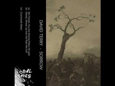 David Terry - My Friends, You Are Shining Pillars of Light