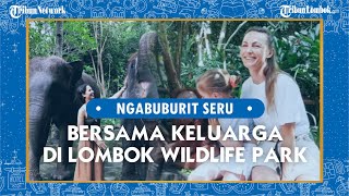 Tempat Ngabuburit Asik Cocok untuk Bersantai Bersama Keluarga di Lombok Wildlife Park