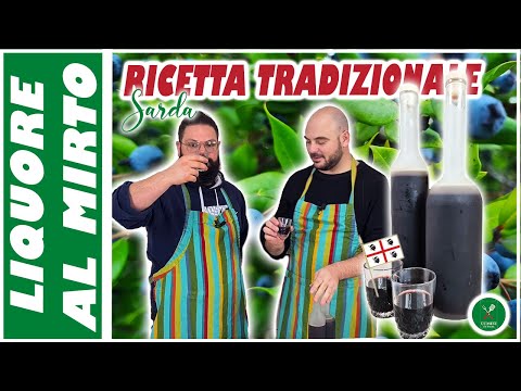 Liquore di MIRTO FATTO IN CASA!!! Ricetta AUTENTICA dell'amaro più famoso della SARDEGNA