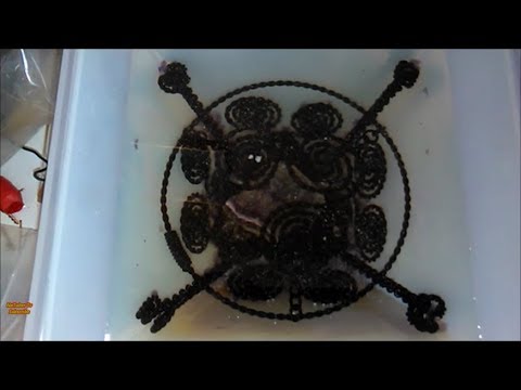 Making Plasma Orgonite Pyramid With Different Nano Coated Coils, Devices, GANS and Crystals Video