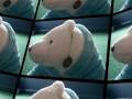 Pam The Polar Bear Orient