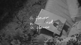 A FLOWER IS NOT A FLOWER - Teaser Trailer